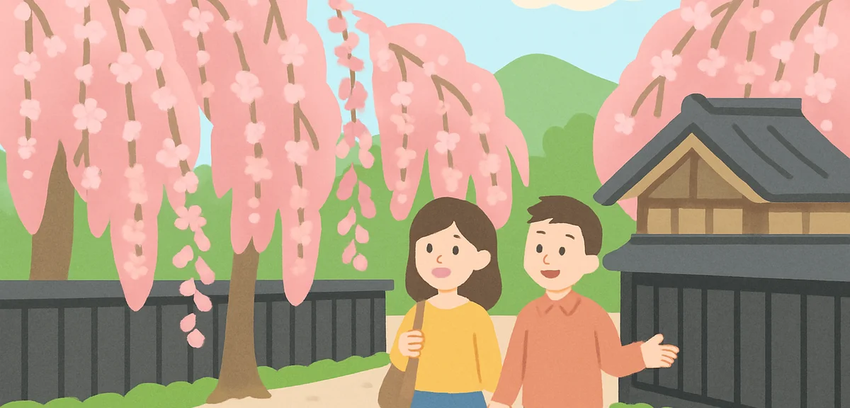 Kakunodate samurai district with weeping cherry trees in spring, Akita Japan, traditional black wood