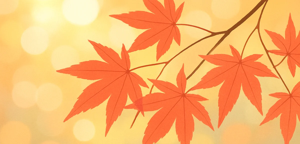 Close-up of red Japanese maple leaves with sunlight filtering through, bokeh background, soft natura